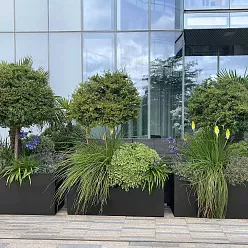 IDEALIST Lite Contemporary Light Concrete Trough Planter