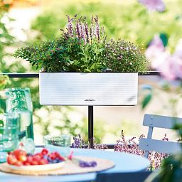 LECHUZA CUBE Color Square Poly Resin Indoor Self-watering Planter Set