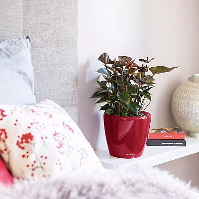 LECHUZA CLASSICO LS Round Poly Resin Self-watering Planter LECHUZA CLASSICO LS Round Poly Resin Self-watering Planter