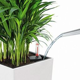 LECHUZA CUBICO Color Square Tall Poly Resin Self-watering Planter Set