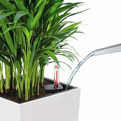 LECHUZA CUBICO Color Square Tall Poly Resin Self-watering Planter Set