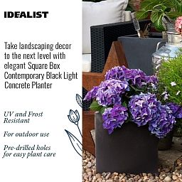 IDEALIST Lite Square Box Contemporary Light Concrete Planter