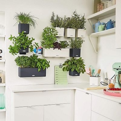 LECHUZA Green Wall Home Kit Color Indoor Self-watering Planter
