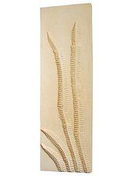 Polystone Coated Rectangle