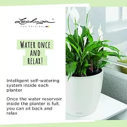 LECHUZA CLASSICO Color Round Poly Resin Self-watering Planter