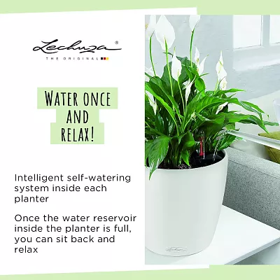LECHUZA CLASSICO Color Round Poly Resin Self-watering Planter