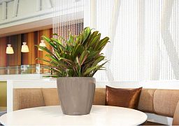 LECHUZA CLASSICO LS Round Poly Resin Self-watering Planter