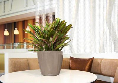 LECHUZA CLASSICO LS Round Poly Resin Self-watering Planter