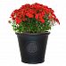 Rustic Style Rolled Rim Wide Vase Outdoor Planter by Idealist Lite