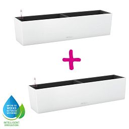 LECHUZA BALCONERA Color Trough Poly Resin Self-watering Planter Set