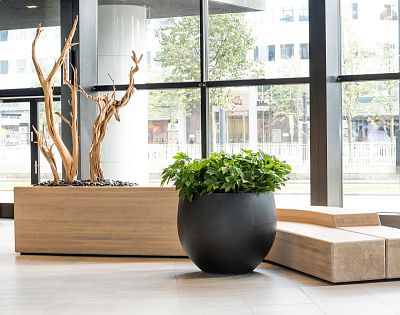Fibrestone Jumbo Orb Round Planter by Idealist Premium