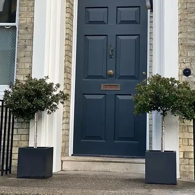 IDEALIST Lite Square Box Contemporary Light Concrete Planter