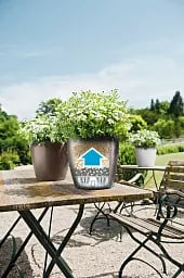 LECHUZA CLASSICO Color Round Poly Resin Self-watering Planter