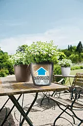 LECHUZA CLASSICO Color Round Poly Resin Self-watering Planter