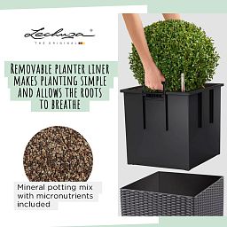 LECHUZA CUBE Cottage Square Poly Resin Self-watering Planter