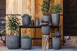 Tall Resin Planter by Cadix Capi Tutch Round