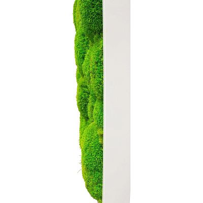 PREMIUM Moss Wall Art Artificial Moss Plant