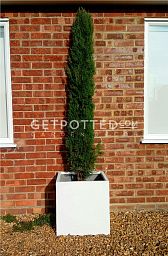 Square Fiberstone Planter by Idealist Premium