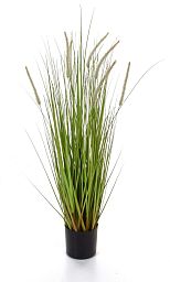 Dogtail with Pot Artificial Grass Plant