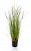 Dogtail with Pot Artificial Grass Plant