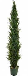 Topiary Cedar Mini Pine UV-resistant Artificial Tree Plant Topiary Cedar Mini Pine UV-resistant Artificial Tree Plant