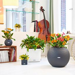 LECHUZA PURO Color Round Poly Resin Self-watering Planter