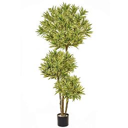 Dracaena Reflexa Multi Layer Artificial Tree Plant