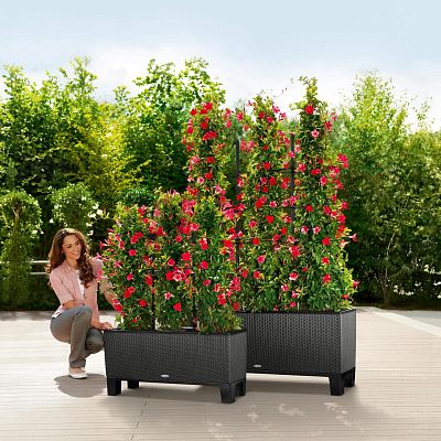 LECHUZA TRIO Cottage Trough Poly Resin Self-watering Planter