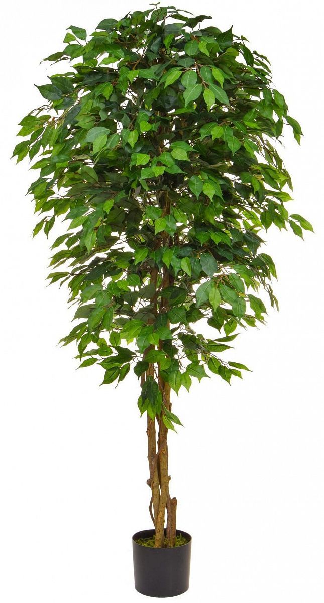 Ficus Contract Artificial Tree Plant