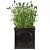 Square Plant Pots
