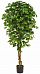 Ficus Contract Artificial Tree Plant