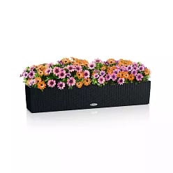 LECHUZA BALCONERA Cottage Trough Poly Resin Self-watering Planter