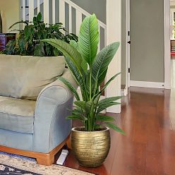 IDEALIST Lite Row Style Round Indoor Planter