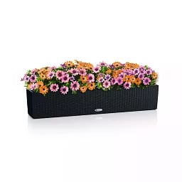 LECHUZA BALCONERA Cottage Trough Poly Resin Self-watering Planter