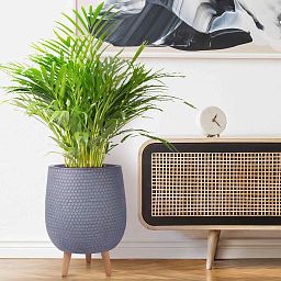 IDEALIST Lite Honeycomb Style Egg Planter on Legs, Round Pot Plant Stand Indoor