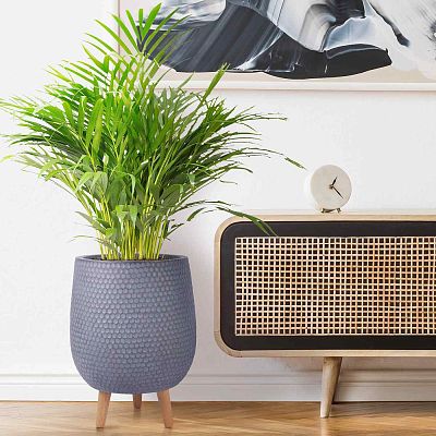 IDEALIST Lite Honeycomb Style Egg Planter on Legs, Round Pot Plant Stand Indoor