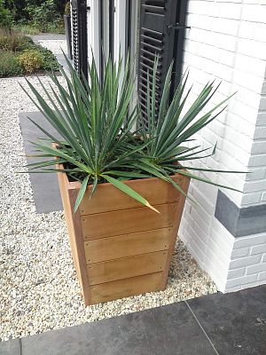Hardwood Sevilla Tapered Square Tall Wood Outdoor Planter