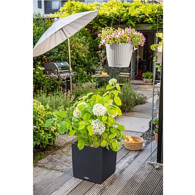 LECHUZA CUBE Cottage Square Poly Resin Self-watering Planter