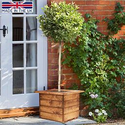 Rustic Scandinavian Redwood Square Outdoor Planter Made in UK by HORTICO
