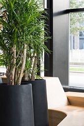Fibrestone Nax Tall Planter by Idealist Premium