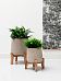 Patt Round Indoor Planter on Legs by Idealist Premium Rough