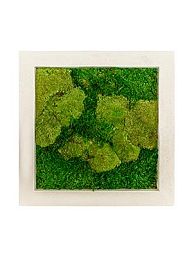 Moss Painting Natural Square