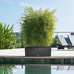 LECHUZA TRIO Cottage Trough Poly Resin Self-watering Planter