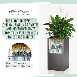 LECHUZA CANTO High Square Tall Poly Resin Self-watering Planter