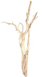 Ghostwood Sand Blasted Branchy Artificial Branch