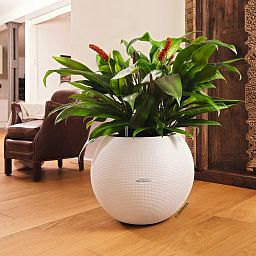 LECHUZA PURO Color Round Poly Resin Self-watering Planter
