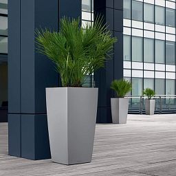 LECHUZA CUBICO Square Tall Poly Resin Self-watering Planter