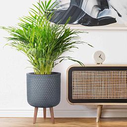 IDEALIST Lite Honeycomb Style Cylinder Planter on Legs, Round Pot Plant Stand Indoor