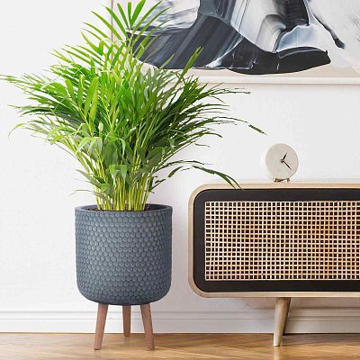 IDEALIST Lite Honeycomb Style Cylinder Planter on Legs, Round Pot Plant Stand Indoor