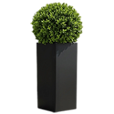 Tall planters
